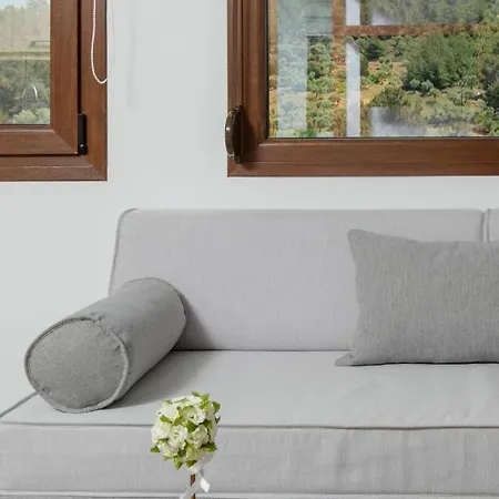 Dikap Luxury Aparts * Limenaria (Thasos)